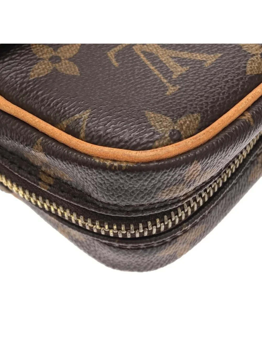 Louis Vuitton Monogram Danube Shoulder Bag